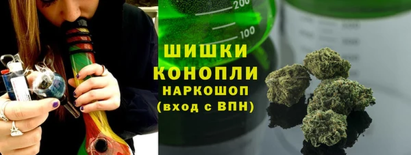 spice Богданович