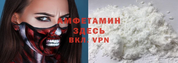 соль ск Богородицк