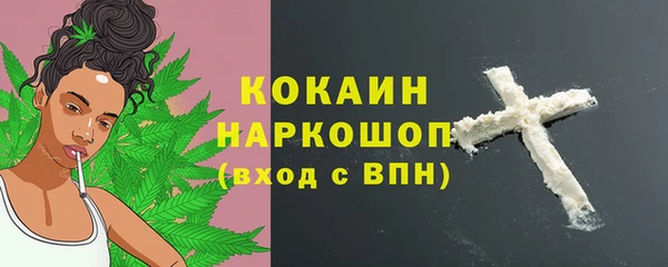 spice Богданович