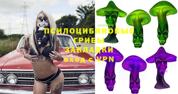 spice Богданович