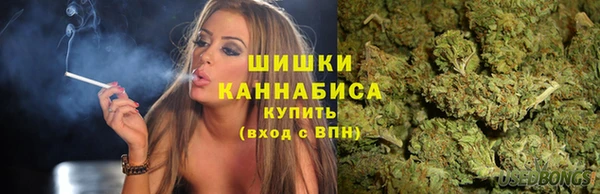 соль ск Богородицк
