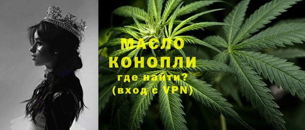 spice Богданович