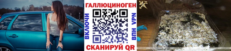 Галлюциногенные грибы Psilocybe  kraken маркетплейс  Кашира 